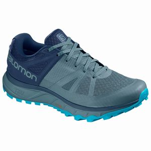 Pánske Bežecké Topánky Salomon TRAILSTER GTX Modre,319-43782